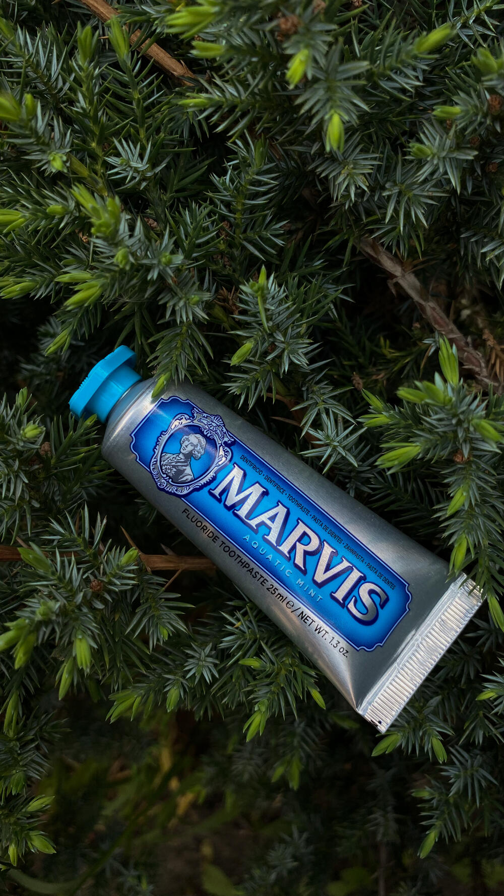 Зубна паста Marvis 25 ml Aquatic Mint, 25 мл