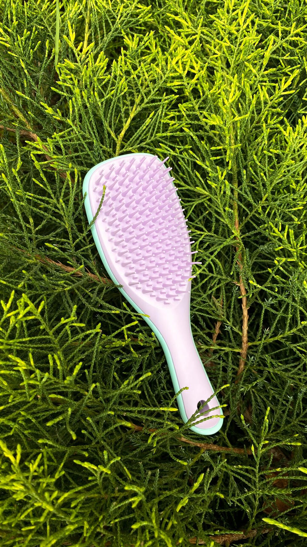 Гребінець для волосся Tangle Teezer the Wet Detangler Mini 