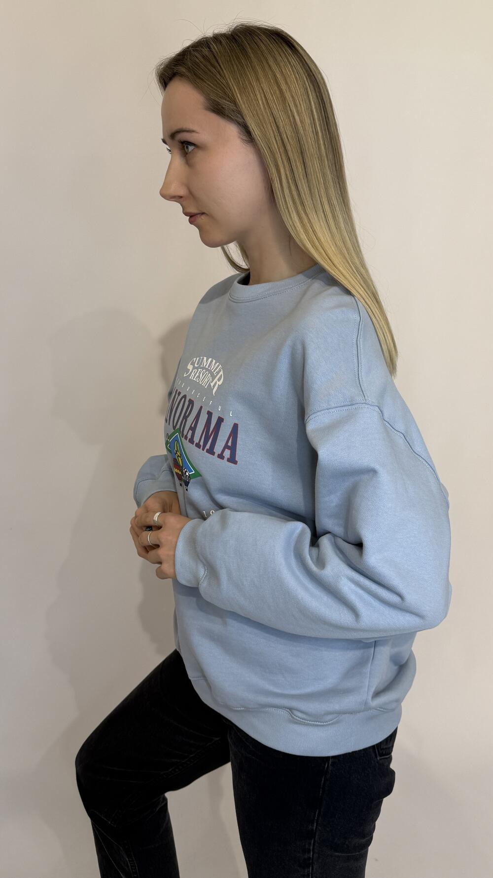 Світшот з принтом Panorama Блакитний, Oversize
